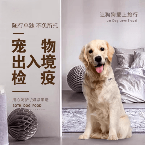 青浦区宠物托运到哥伦比亚猫狗宠物入境规定和