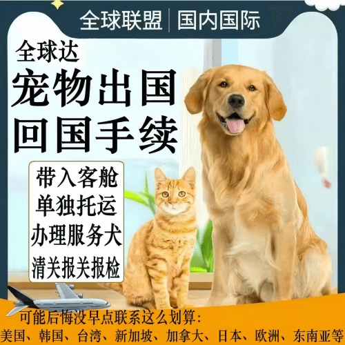 青浦区宠物托运到柬埔寨宠物入境规定和要求